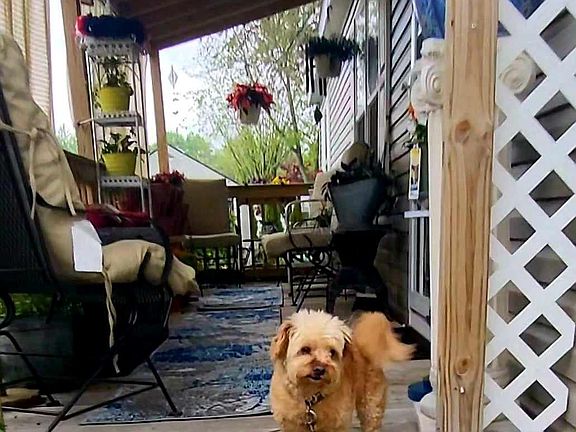 5th image of 43104 Riviera Ave