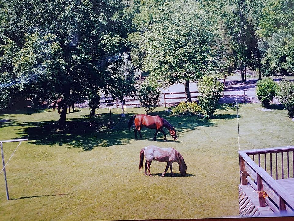 1st image of 17 Meadowbrook Ct
