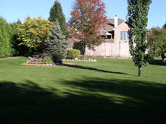 Rear Yard