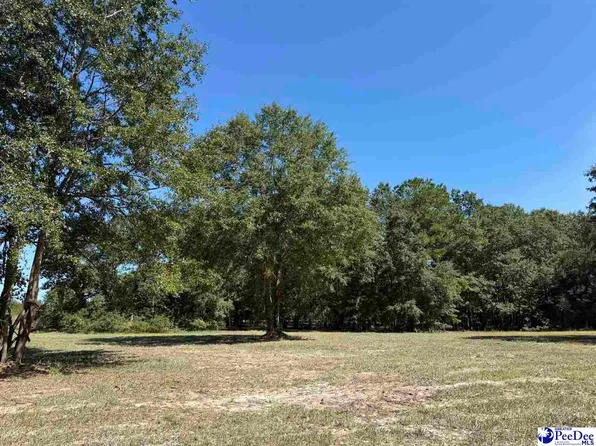 LOT 6 Isaiah Dr, Dillon, SC 29536