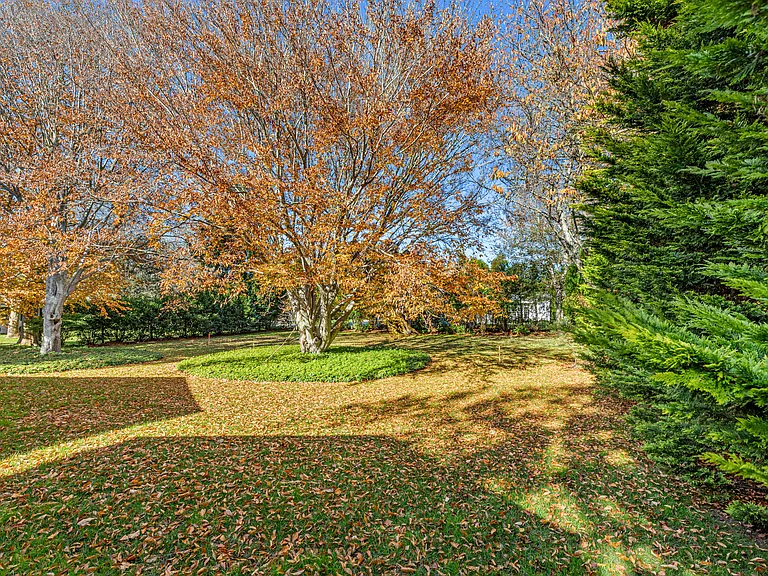 350 Bluff Rd — Photo 18