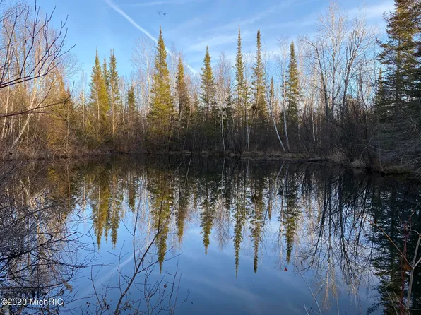 17256 Bigge Rd, Kaleva, MI 49645
