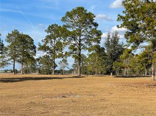 SE 219th Ave, Morriston, FL 32668