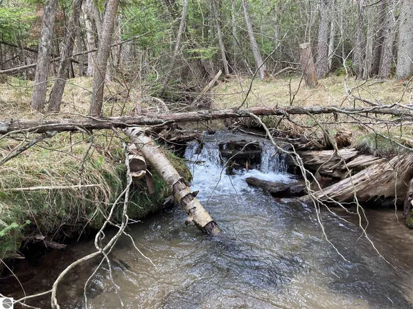 0 Church St, Rose City, MI 48654