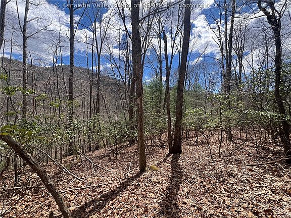 4th image of 4 Watoga Ln