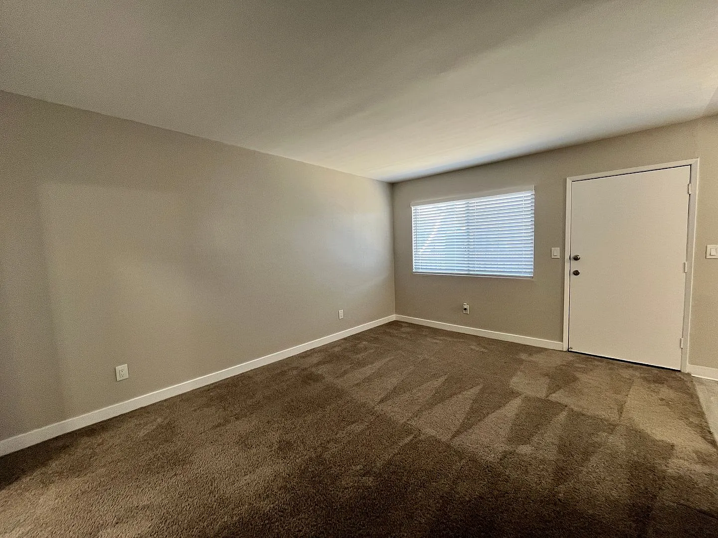 0033 BERRO ASSETS BUILDING — Photo 4