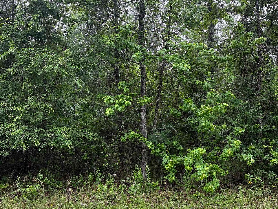 1st image of 561 Eagle Bluff Loop Lot 561