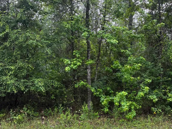 561 Eagle Bluff Loop Lot 561, Avinger, TX 75630