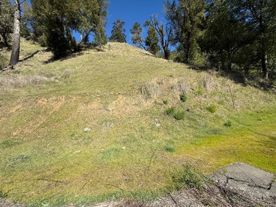77 Oak Dr, Garberville, CA, 95542