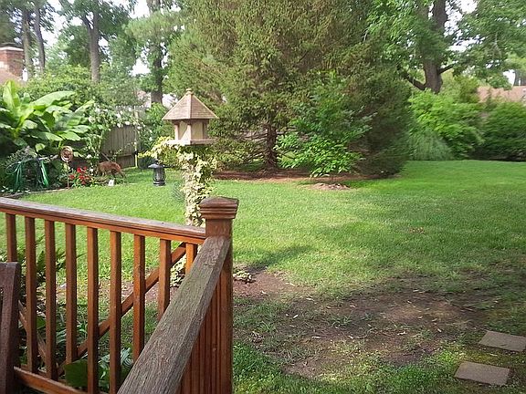 Back Garden 1