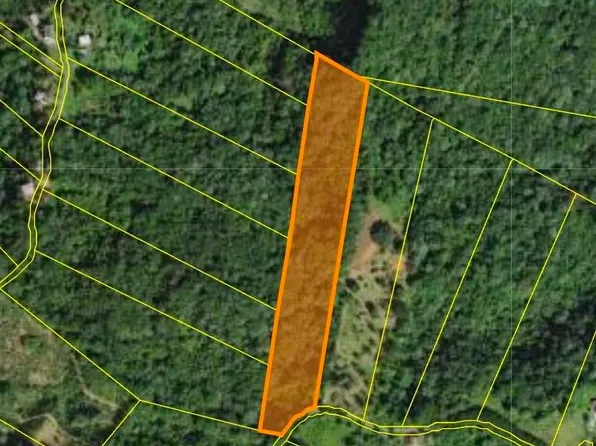 Bo Don Alonso Sec Hacienda Roses Solar #9, Utuado, PR 00641