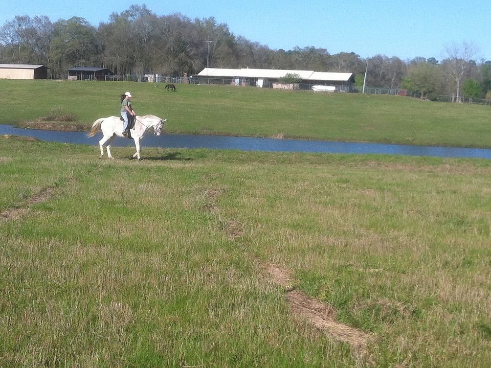 House, barn and pond view