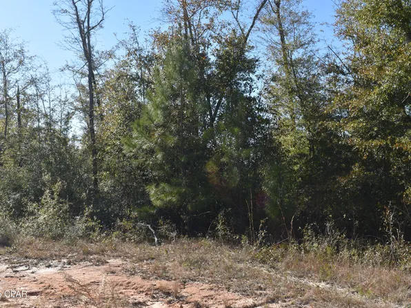 Grand Mesa Ave, Alford, FL 32420