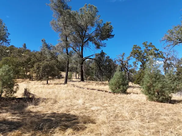 9816 Deer Hollow Trl, Browns Valley, CA 95918