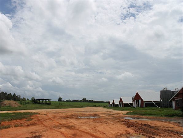 1st image of 694 County Road 732