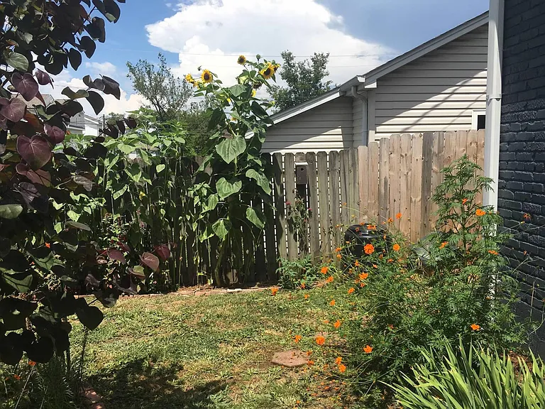 528 Snyder Ave — Photo 7