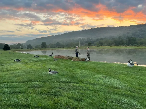 0 Gastown Rd, Shelocta, PA 15774