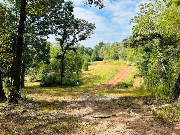 0 Papa Coon Trl, Demorest, GA 30535