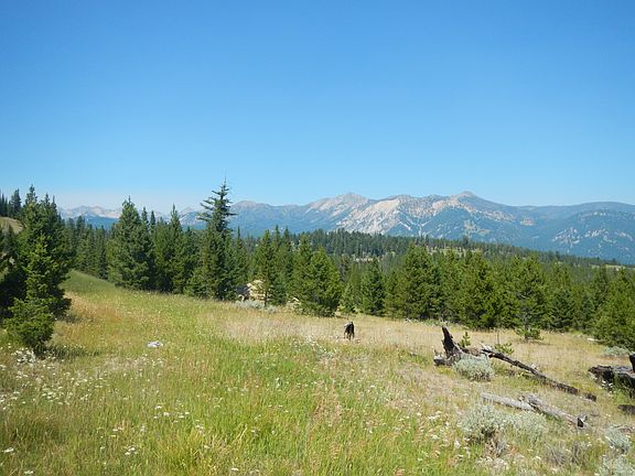 North Northeast Facing