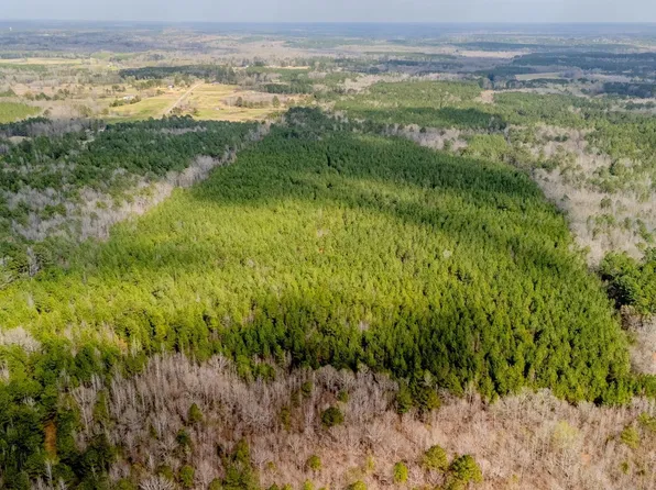 0 Elijah Graham Rd, Noxapater, MS 39346