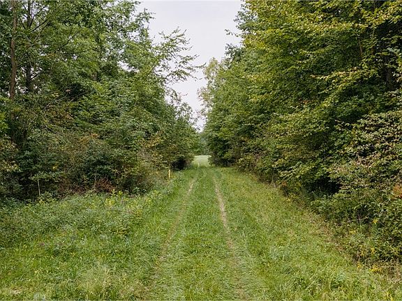 4th image of 3777 Wayland Rd