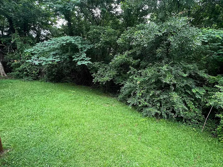 905 Lynn Dale Ln — Photo 16