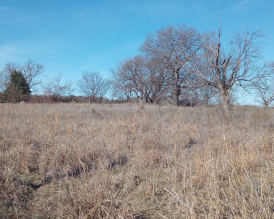 2nd image of 1 Perkins Rd