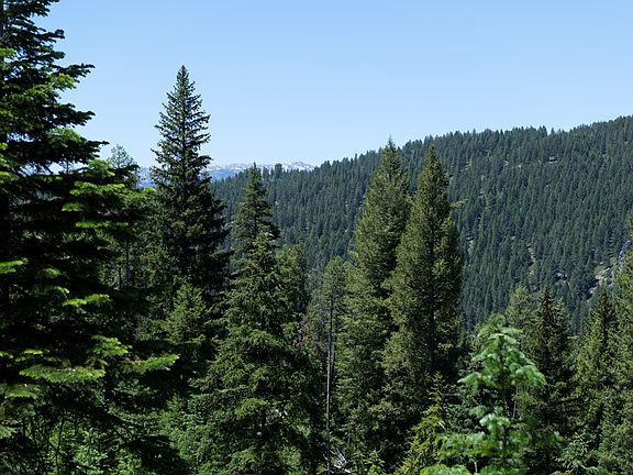 2nd image of 16 Clear Creek Rd