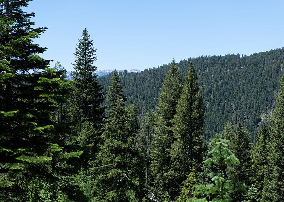 2nd image of 16 Clear Creek Rd