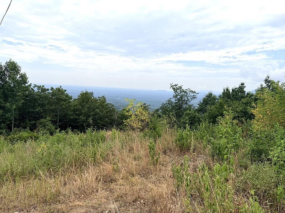 1st image of Reflection Point Trl