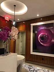 Rented by Domus Realty