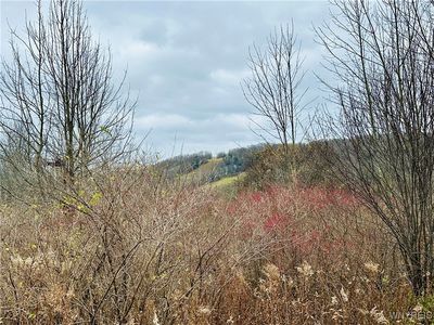 V/l Overview Drive Grv #17, Swain, NY, 14884