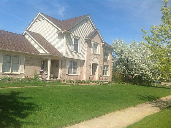 Spring flowers and trees 