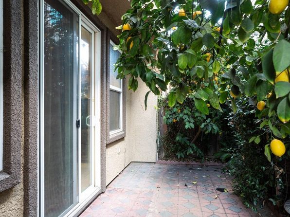 san-jose-california-68968601 picture