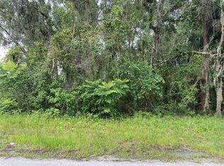 Wilson Avenue Lot #20, Deland, FL 32720