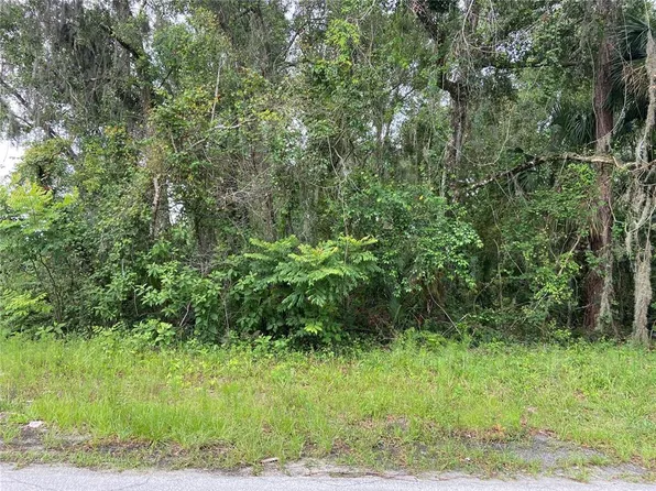Wilson Avenue Lot #20, Deland, FL 32720