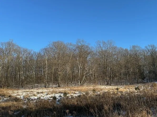 Lot 13 Birken Trail Road, Hayward, WI 54843