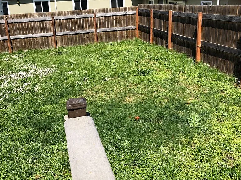 1646 SE Hamilton St — Photo 7