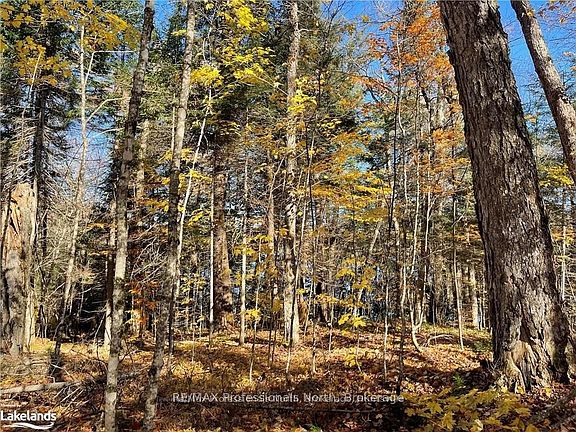 5th image of 6 W Oxbow Lake Rd #1440