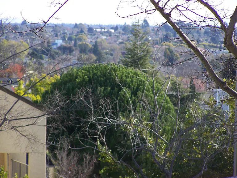 705 Canonbury Way #385 — Photo 9