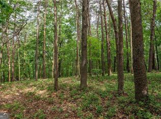 206R Mystic Trail Ln, Jasper, GA 30143