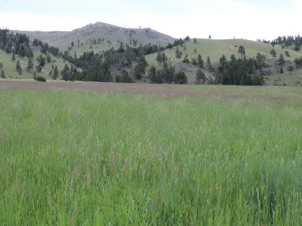 Nhn Jimmy Green Rd, East Helena, MT 59635