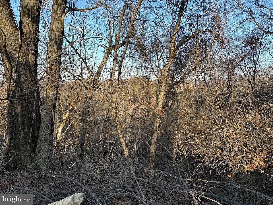 2nd image of 92 Donna Ct