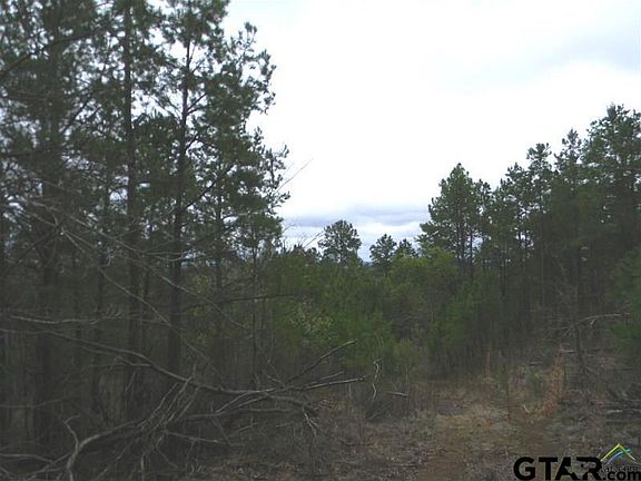 2nd image of 10730 Fm 315 S