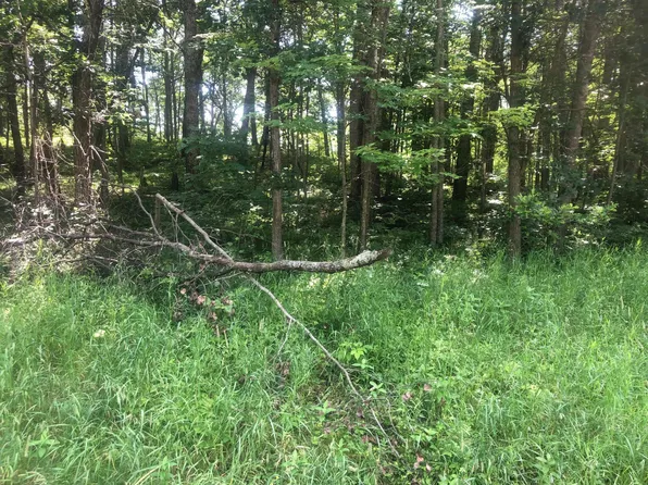Tbd White Overlook, Breezy Pt, MN 56472