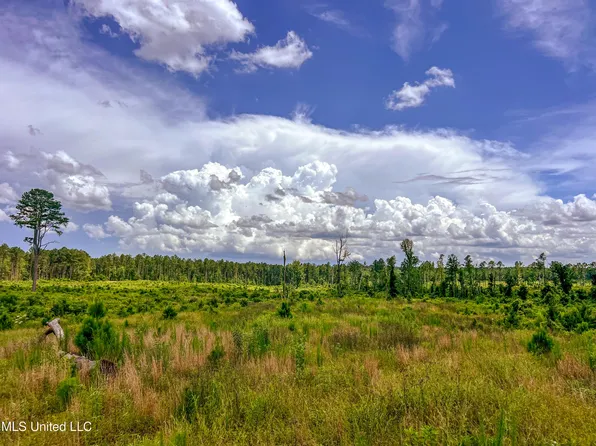 Graves Chapel Rd, Liberty, MS 39645