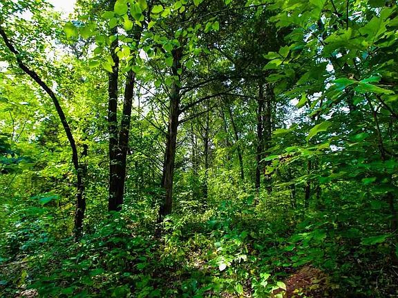 4th image of 25 Lower Rinehart Rd Lot 0