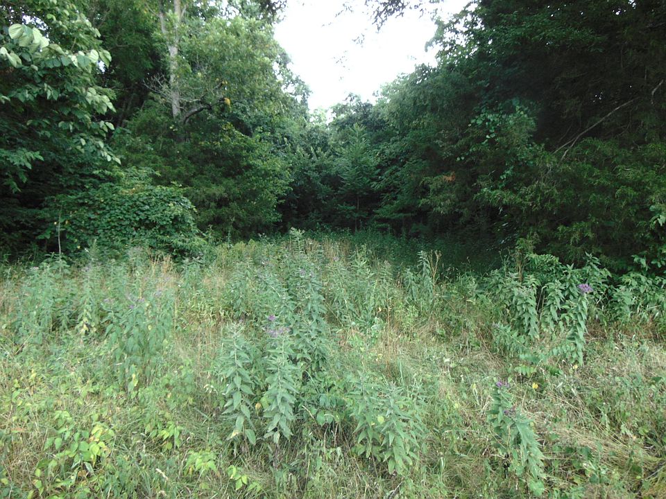 2nd image of 20 County Road 855