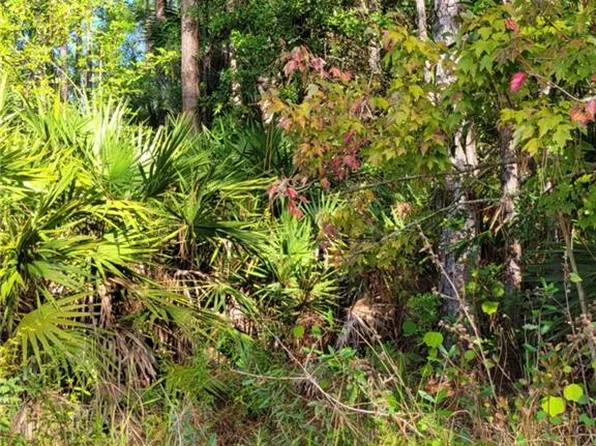 3415 41st AVE NE, NAPLES, FL 34120