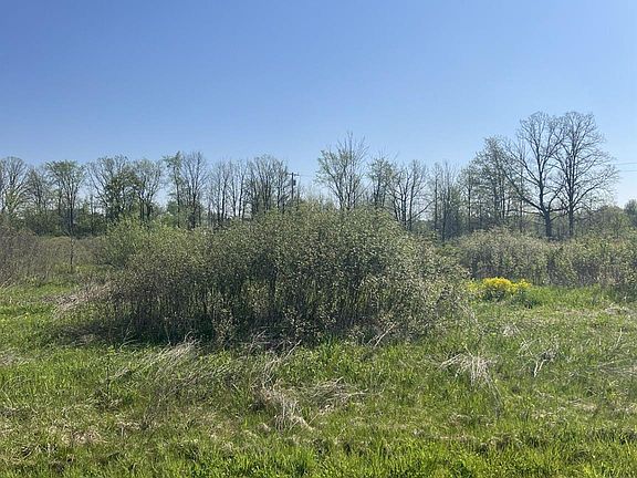 2nd image of Turtle Lake Rd